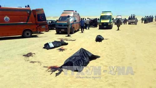 エジプトでバス襲撃２９人死亡 ＩＳが犯行声明 - ảnh 1
