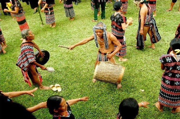 パコ族の新米祭り - ảnh 1