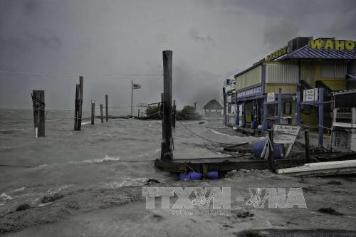 大型ハリケーン「イルマ」、米フロリダ州の死者12人に - ảnh 1