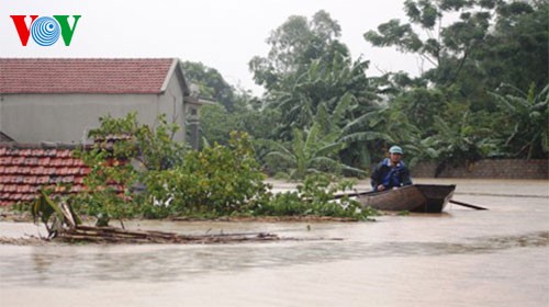 日本政府、ベトナムの洪水被災者を支援 - ảnh 1