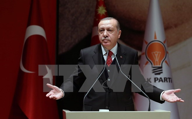 トルコ 反イスラエルの急先鋒に 「テロ国家」と非難 - ảnh 1