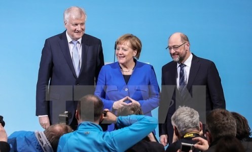 ドイツの大連立政権樹立をめぐる問題 - ảnh 1