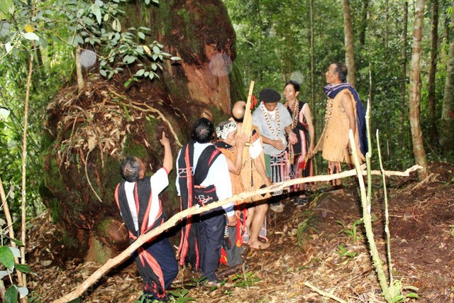 コトゥ族の森の恩に報いる儀式 - ảnh 2