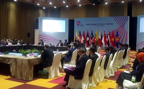 ASEANの高級実務者会合の活動 - ảnh 1