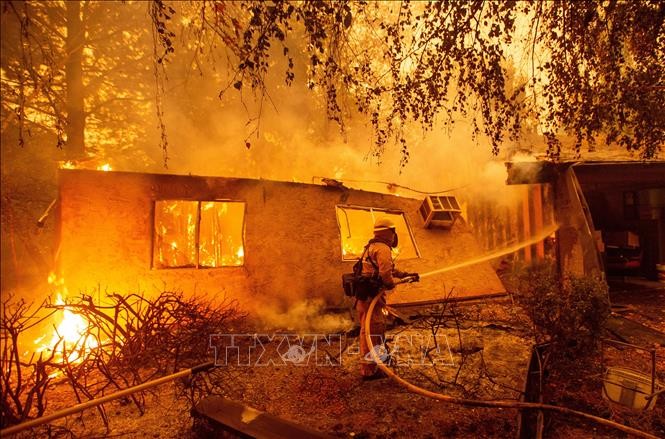 カリフォルニアの山火事、犠牲者５０人に - ảnh 1