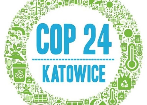 COP 24:パリ協定の実行ルールを定めるチャンス   - ảnh 1