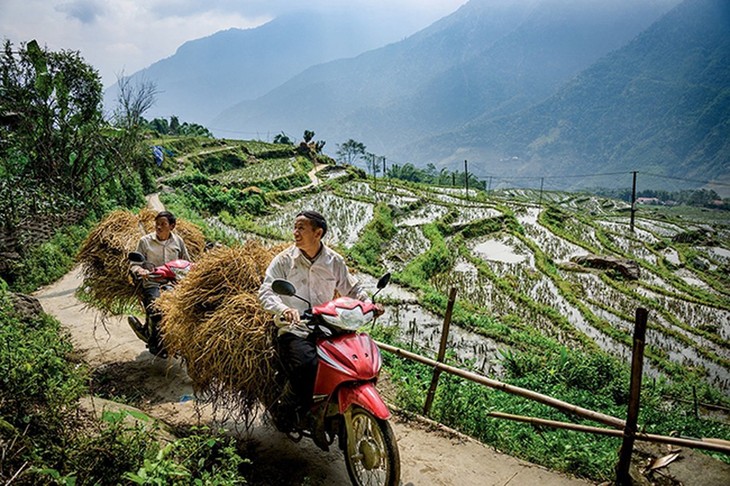 ナショナルジオグラフィック、ベトナムのホアンリェン国立公園を評価 - ảnh 1