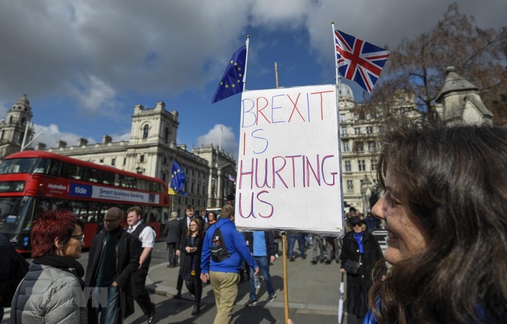 EU残留派100万人が英ロンドンに集結、再国民投票を求めてデモ行進 - ảnh 1