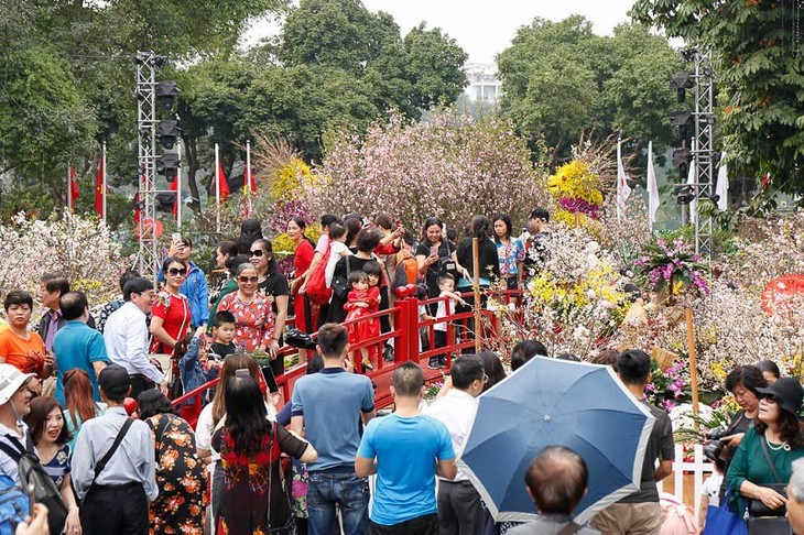 100万人が「ハノイ・日本桜祭り2019」へ - ảnh 1
