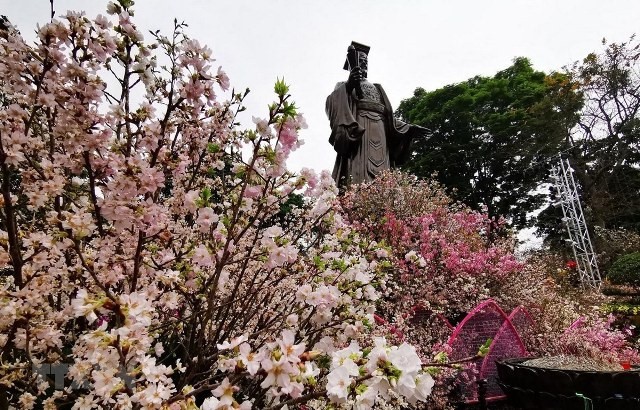 日本・ハノイ桜祭り2019 - ảnh 1