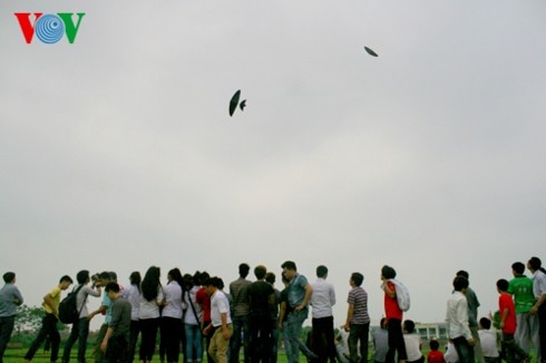 ハノイ郊外の凧揚げ祭り - ảnh 1