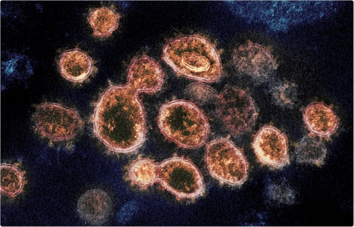 コロナウイルスの変異種の感染を懸念している世界 - ảnh 1