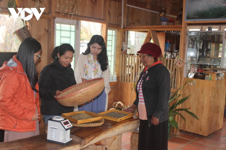 アラビカコーヒーでスタートアップに成功したクホー族の女性 - ảnh 2