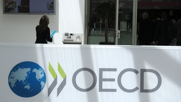OECDが来年の世界成長予想を下方修正 - ảnh 1