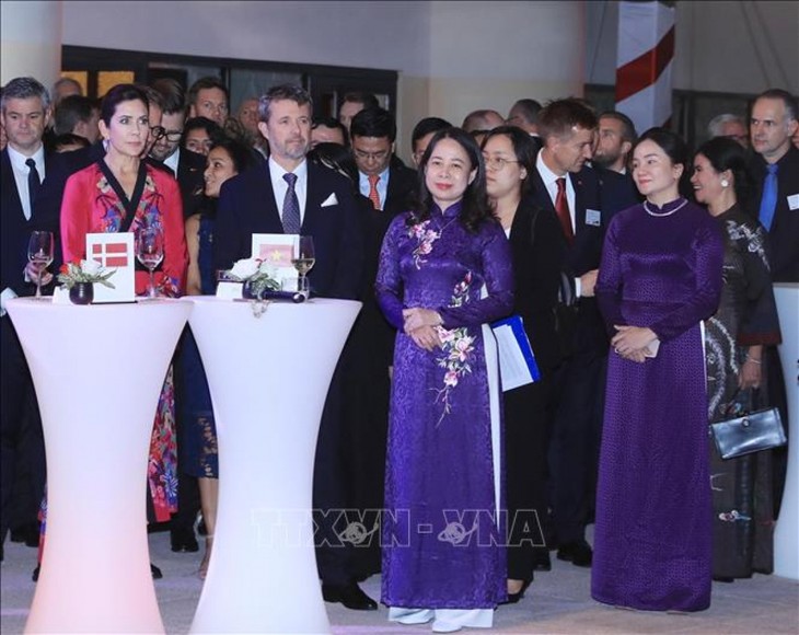 ベトナム・デンマークの外交樹立50周年の記念式典、開催 - ảnh 1