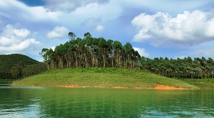 イエンバイ省における 経済的利益をもたらす持続可能な植林 - ảnh 1