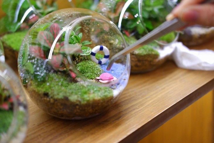 透明なガラス容器の中で動植物を育てる「テラリウム」で起業する若者 - ảnh 1