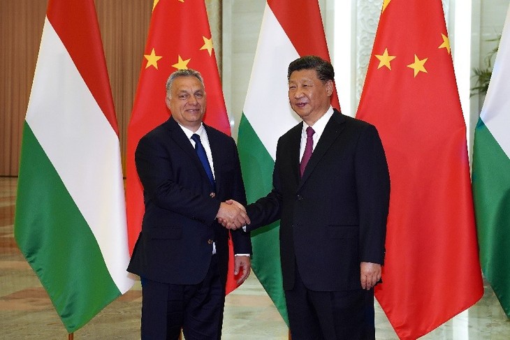 中国 習主席がハンガリー訪問 さらなる関係強化などで一致 - ảnh 1
