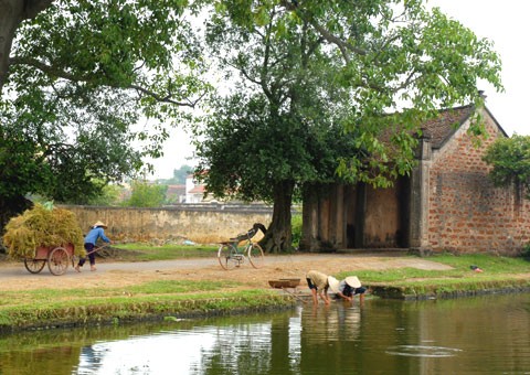 Mengunjungi desa kuno Duong Lam- kota Hanoi - ảnh 1