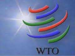 WTO membuka pintu bagi negara kurang berkembang. - ảnh 1