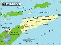 Sekjen PBB Ban Kimoon: Timor Leste bisa menjamin keamanan dalam negeri - ảnh 1