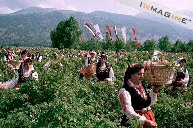 Bulgaraia  mengangap  Vietnam  sebagai  mitra   penting  bagi Bulgaria di Asia - ảnh 1