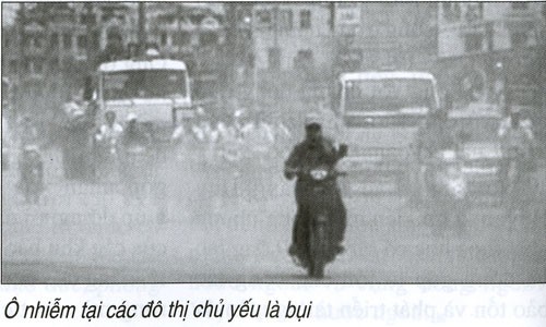 Mencari solusi bagi pekerjaan mengelola kualitas udara di Vietnam. - ảnh 1