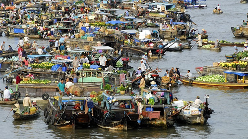 Mendorong kuat pengembangan  sosial-ekonomi  di daerah dataran rendah  sungai Mekong. - ảnh 1