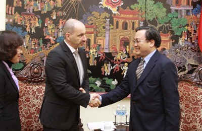Deputi PM Vietnam Hoang Trung Hai  menerima Menteri Industri dan Perdagangan Republik Czech Martin Kuba - ảnh 1