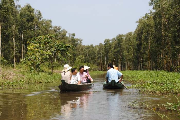 Berwisata di daerah dataran rendah sungai Mekong pada musim  air pasang - ảnh 1