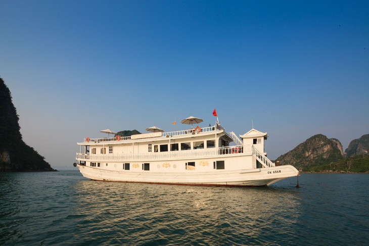 Menikmati  pemandangan alam yang indah di Teluk Ha Long  dengan kapal pesiar - ảnh 2