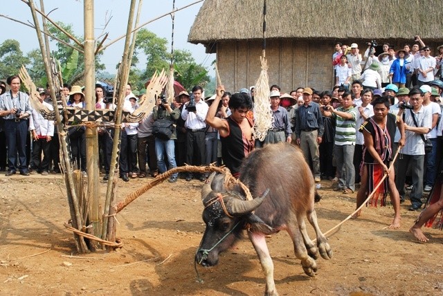 Pesta -pesta tradisional dari rakyat etnis minoritas Brau - ảnh 1