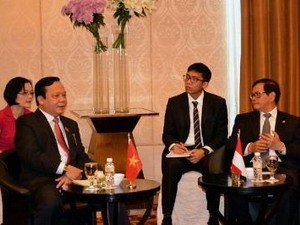 Wakil Ketua MN Vietnam, Huynh Ngoc Son  melakukan kunjungan resmi di Indonesia - ảnh 1