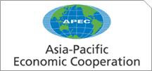 Menciptakan persyaratan visa yang kondusif dalam APEC untuk mempertahankan tenaga pendorong  pertumbuhan - ảnh 1