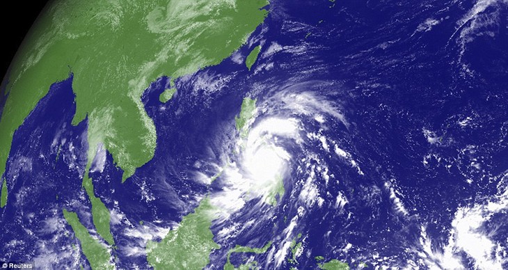 Supratauphan Haiyan mendarat di Filipina, sehingga menimbulkan banyak kerugian. - ảnh 1