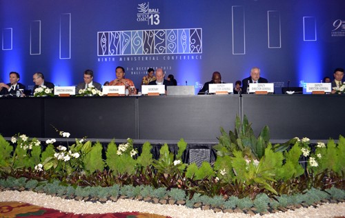 Direktor Jenderal WTO: Permufakatan Bali  menguntungkan negara-negara sedang berkembang. - ảnh 1