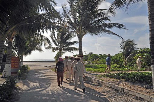 Mengunjungi pulau kelapa Nam Yet - ảnh 2