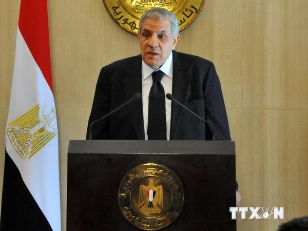 PM Mesir mengangkat enam menteri baru - ảnh 1
