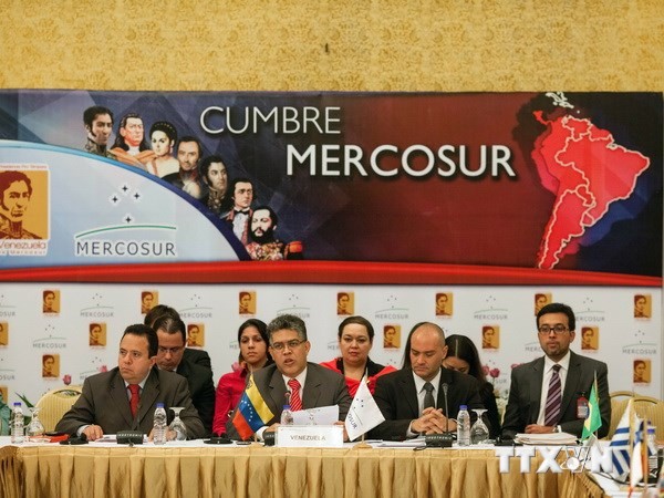 MERCOSUR mendorong konektivitas Amerika Latin - ảnh 1