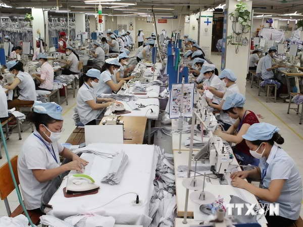 Tekstil dan produk tekstil Vietnam berangsur-angsur menduduki pangsa pasar domestik - ảnh 1