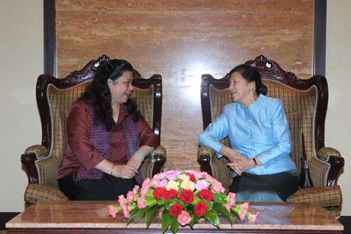 Wakil Ketua MN Vietnam, Tong Thi Phong melakukan kunjungan  kerhormatan kepada Ketua Parlemen Laos, Pany Zathotou. - ảnh 1