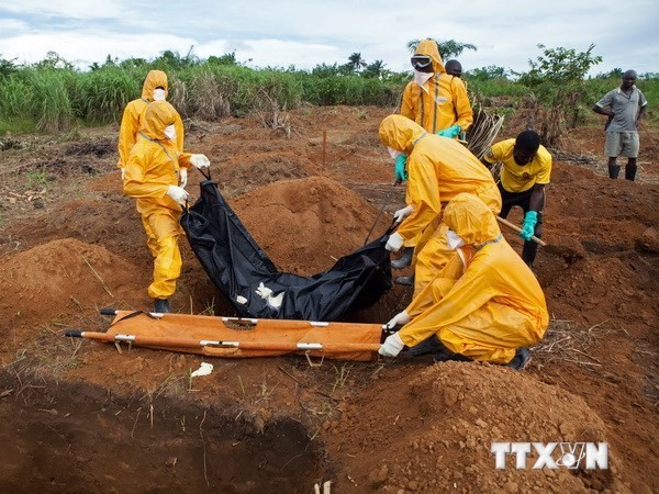 Pentagon membentuk satuan bantuan  kesehatan untuk menghadapi wabah Ebola - ảnh 1