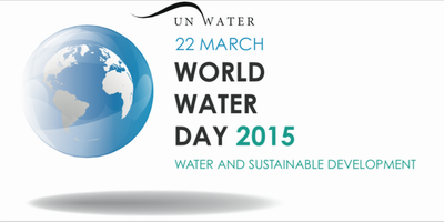 Rapat umum menyambut Hari Air Dunia-2015 - ảnh 1