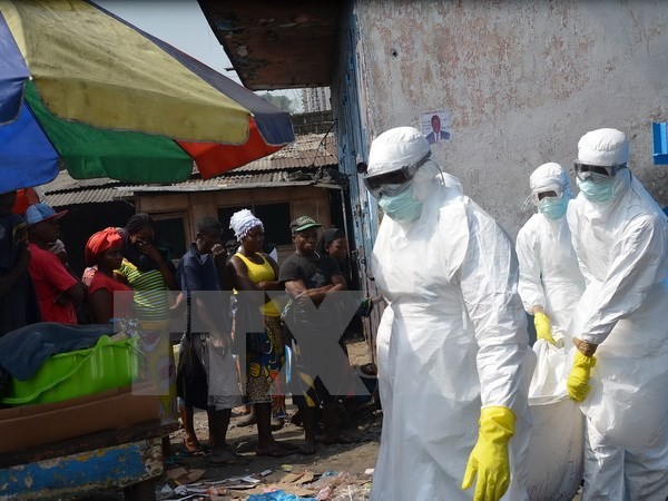 WHO berseru kepada dunia internasional membantu usaha menanggulangi wabah Ebola - ảnh 1