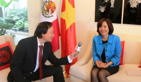 Vietnam dan Meksiko  merasa optimis atas prosepek  kerjasama bilateral - ảnh 1