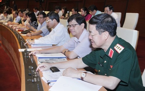 MN Vietnam memberikan suara mengesahkan Resolusi tentang program aktivitas pengawasan MN-tahun 2016. - ảnh 1