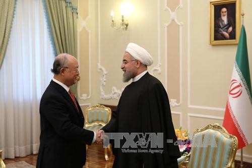 Dirjen IAEA Yukiya Amano melakukan kunjungan di Iran. - ảnh 1