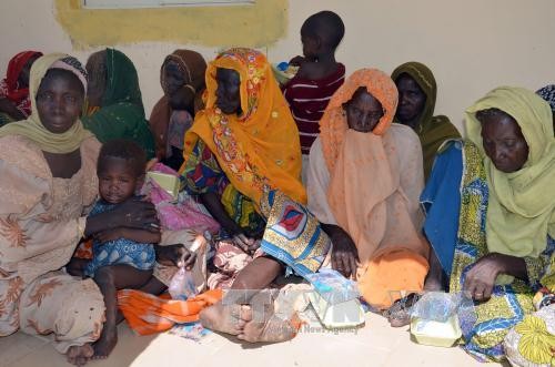 Nigeria menyelamatakan  ratusan sandera dari tangan   Boko Haram - ảnh 1