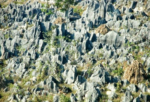 Daerah Dataran Tinggi  Batu Dong Van- Keindahan yang masih liar tapi megah - ảnh 4