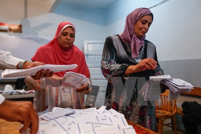 Pemilu Parlemen Mesir: Memberikan suara putaran tambahan untuk tahap pertama. - ảnh 1